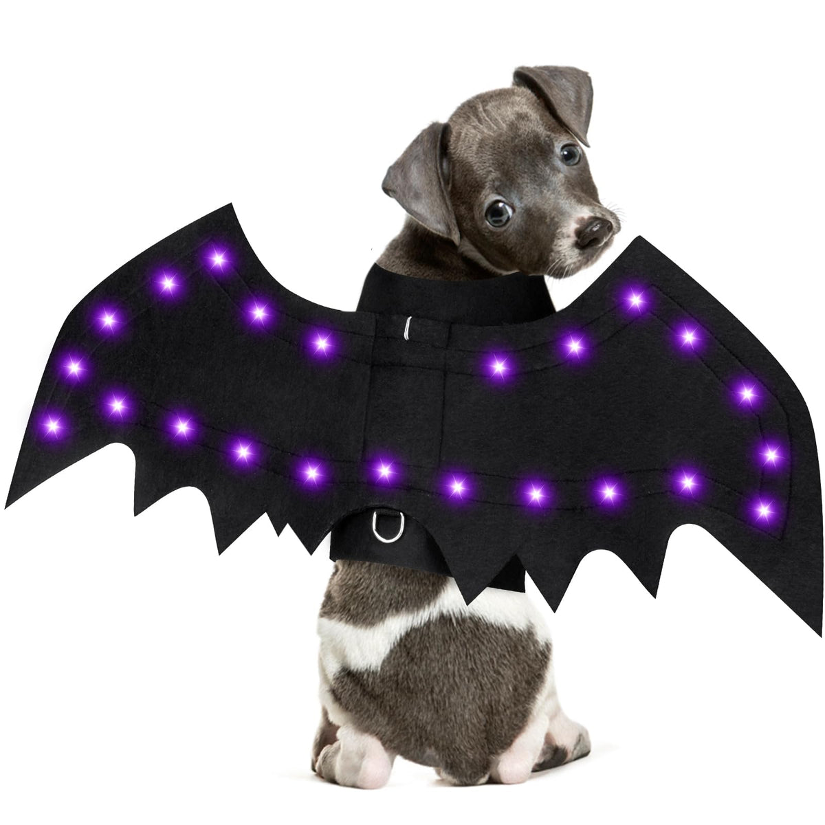 Yoochee Light Up Dog Halloween Costume (Small)
