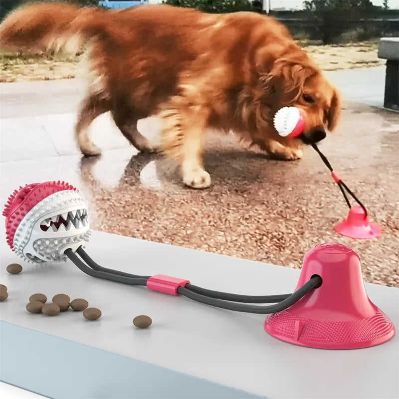 Suction-Cup Interactive Dog Toy