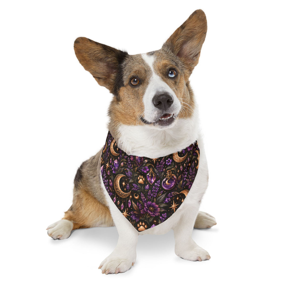 Moon & Floral Pet Bandana Collar – Purple Celestial Pattern for Dogs